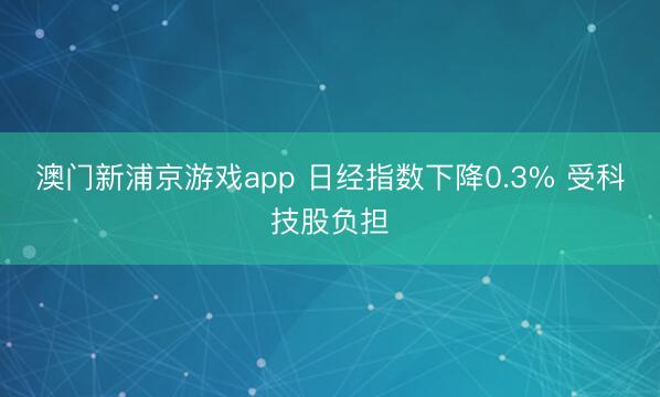 澳门新浦京游戏app 日经指数下降0.3% 受科技股负担