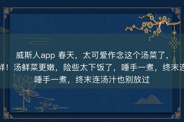 威斯人app 春天，太可爱作念这个汤菜了，大要搭配一锅鲜！汤鲜菜更嫩，险些太下饭了，唾手一煮，终末连汤汁也别放过